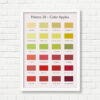 A3 Art Print -  Cider Apples Palette