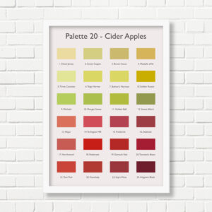 A3 Art Print -  Cider Apples Palette