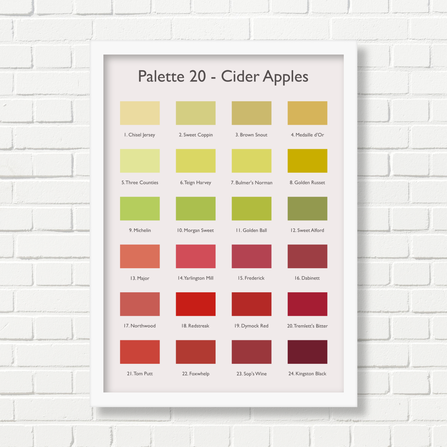 A3 Art Print -  Cider Apples Palette