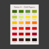 A3 Art Print -  Chilli Peppers Palette