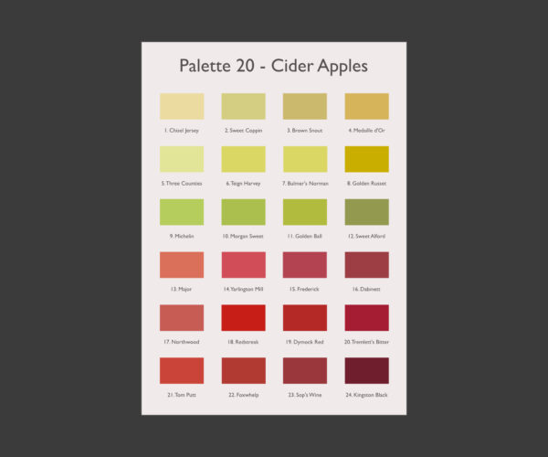 A3 Art Print -  Cider Apples Palette