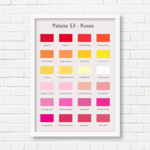 A3 Art Print -  Roses Palette