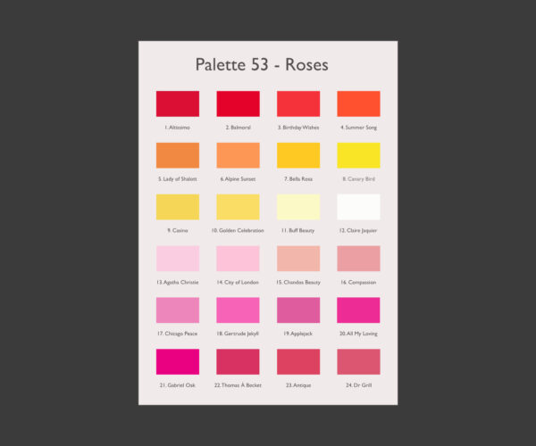 A3 Art Print -  Roses Palette