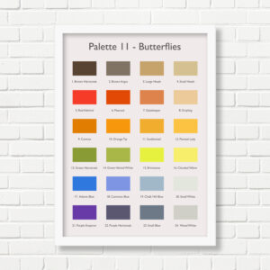 A3 Art Print -  Butterflies Palette